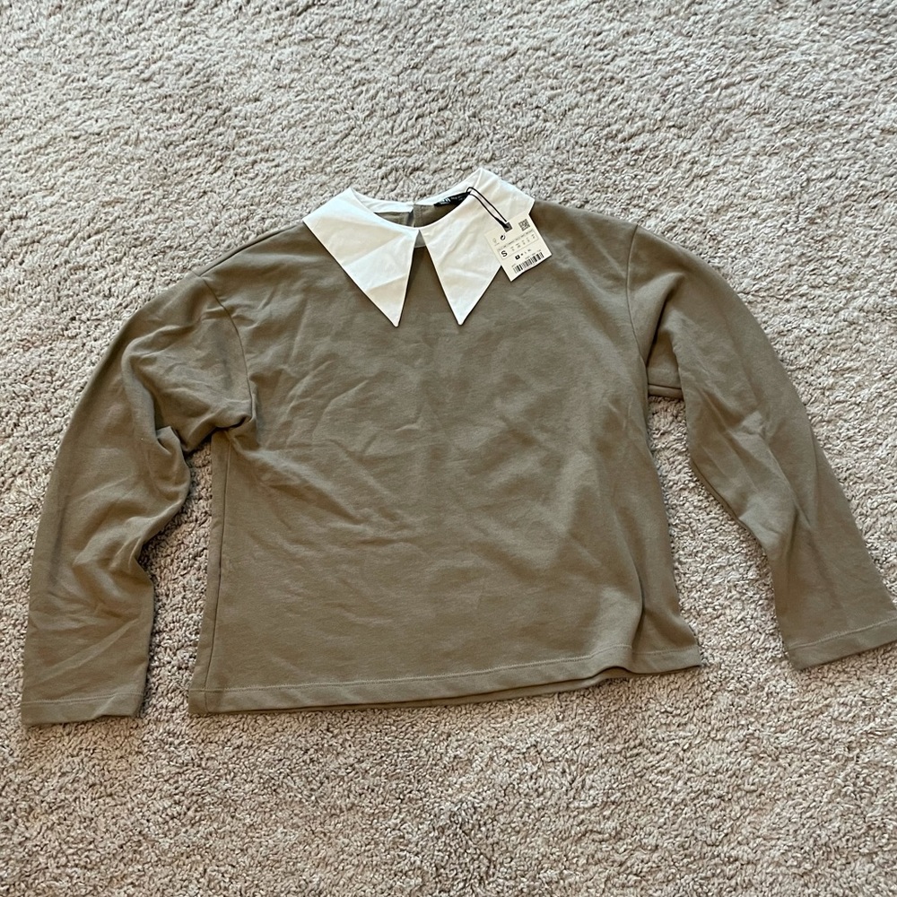NWT Zara Camel Top with White Collar